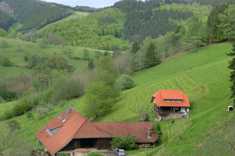 foto19