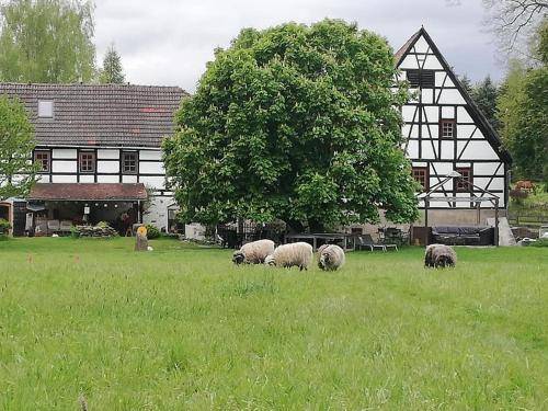 Ferienwohnung Nossen