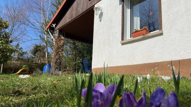 Ferienhaus Waltershausen