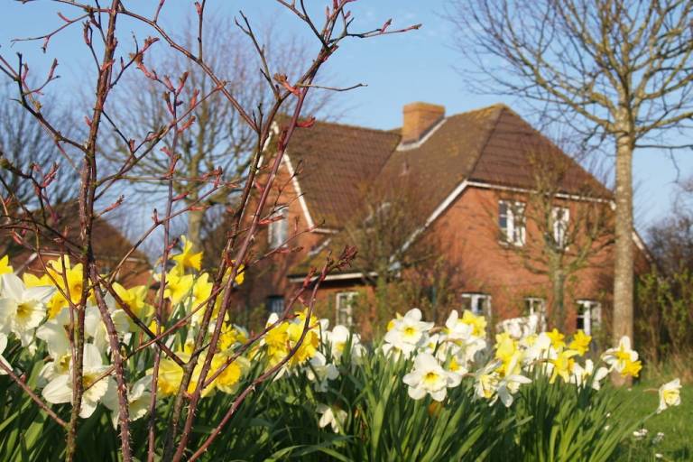 Ferienhaus Wyk auf Föhr