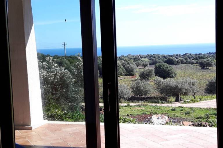 Agriturismo Su Barcu: Cartoe — photo 5