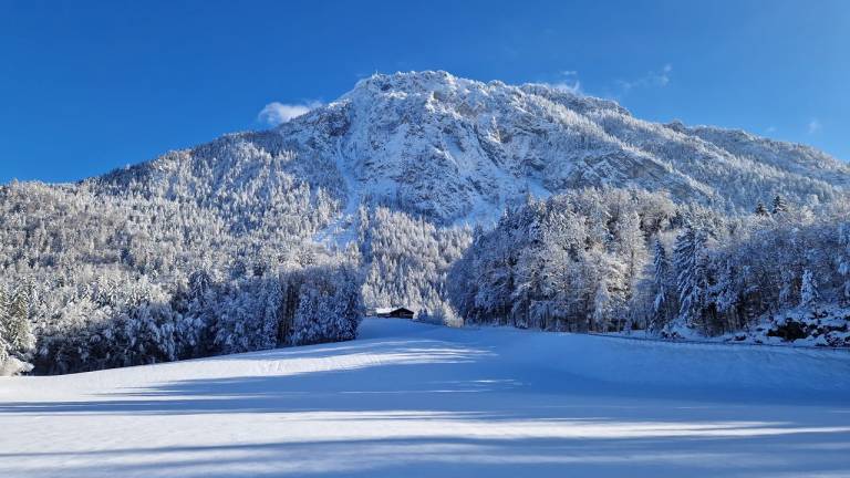Ferienwohnung Ruhpolding