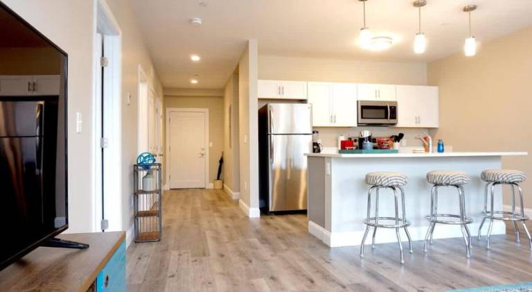 Fully equipped pleasant holiday apartment | Pet-friendly — photo 4