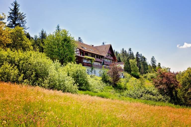 Apartment  Gengenbach