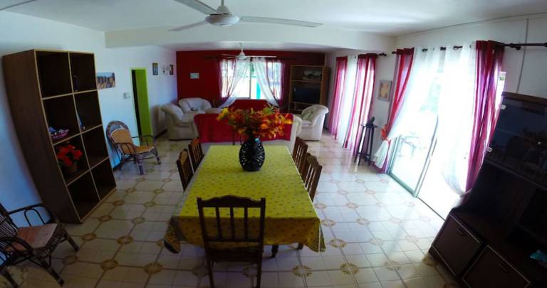 foto11