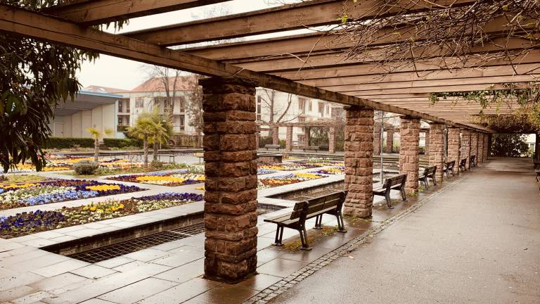 Superior Apartment near Stuttgart Garden & Sauna
