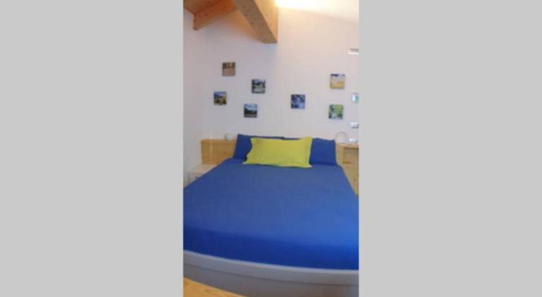 foto31