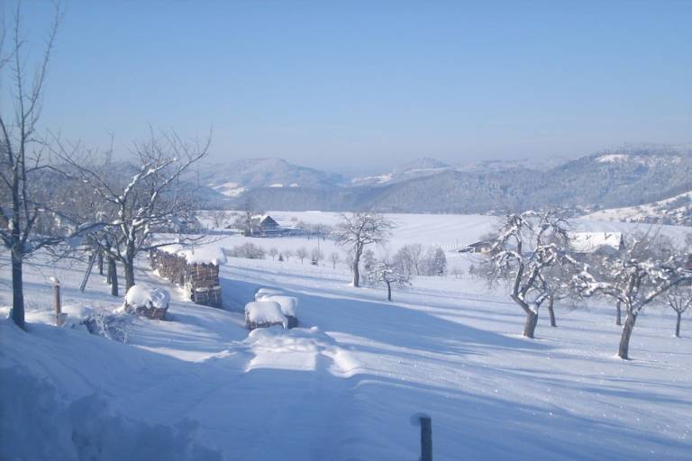foto16