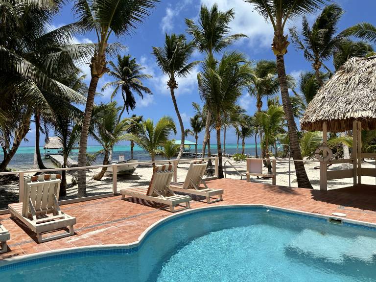 Condo  Corozal District