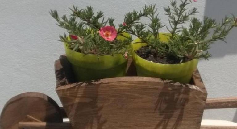 foto49