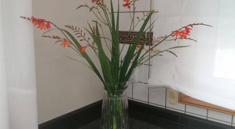 foto14