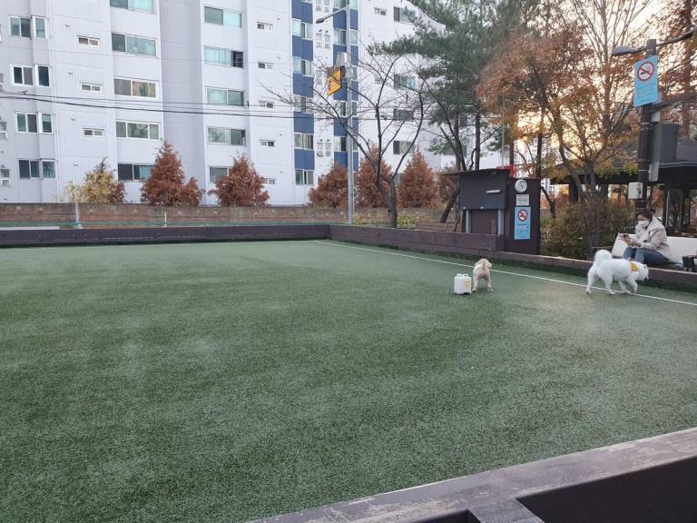 foto19