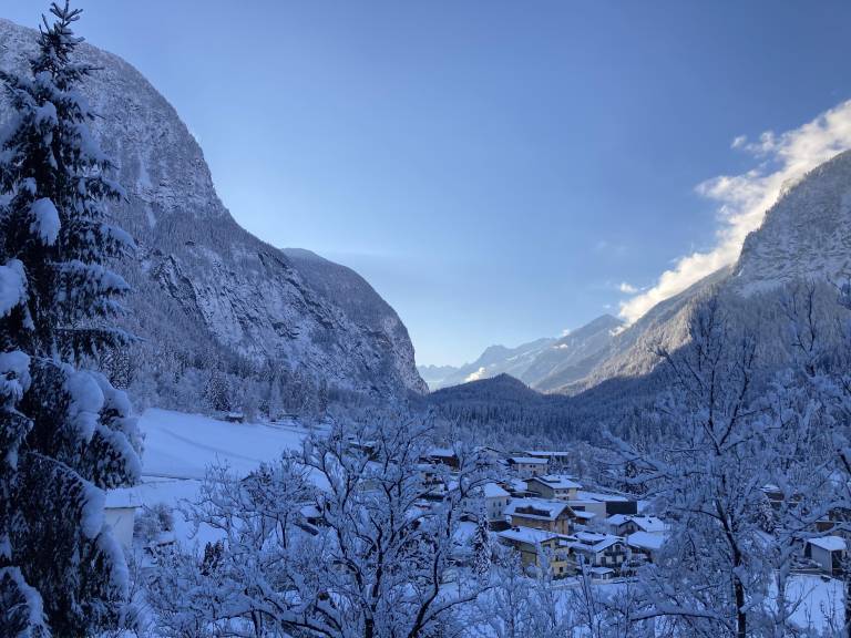 Ferienwohnung Ochsengarten