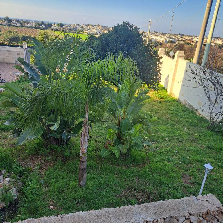 foto5