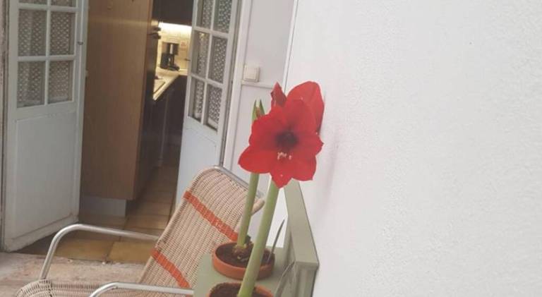 foto19