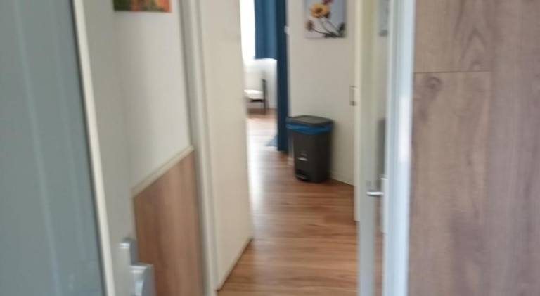 foto41