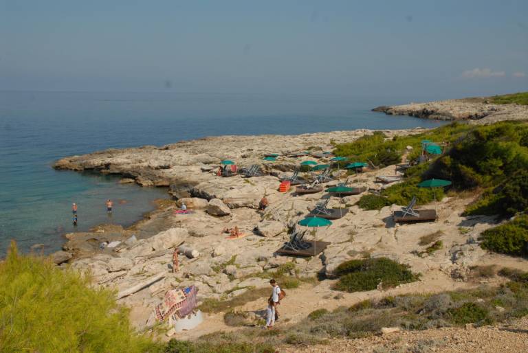 foto42