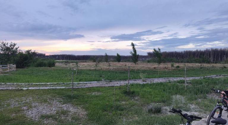 foto10