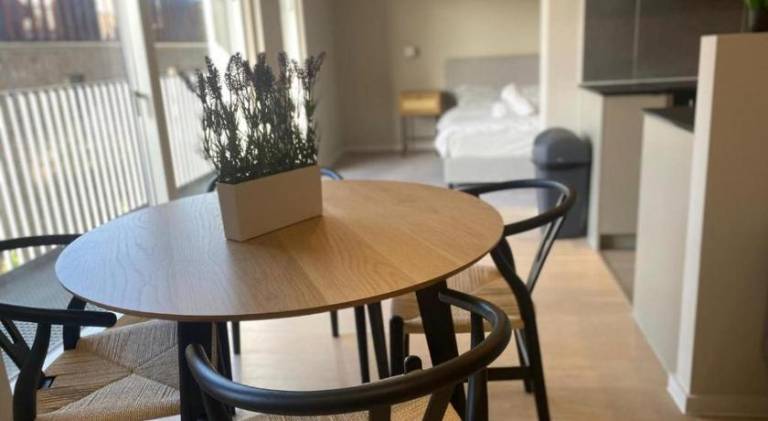 Apartment | Close to Museum of Science and Industry — photo 2