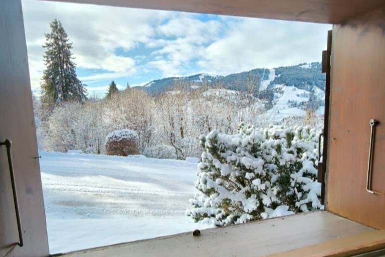 Ferienwohnung in Megève f&uuml;r max. 4 Personen