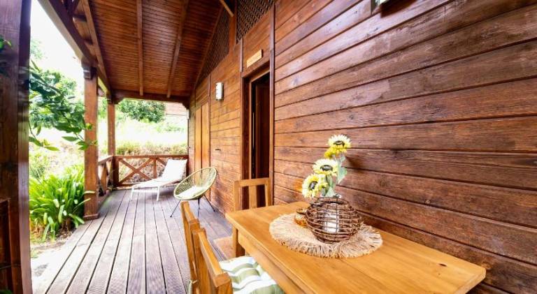 Chalet with pool — photo 3