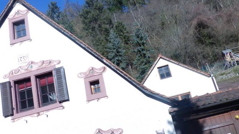 Ferienwohnung Wachenheim an der Weinstraße