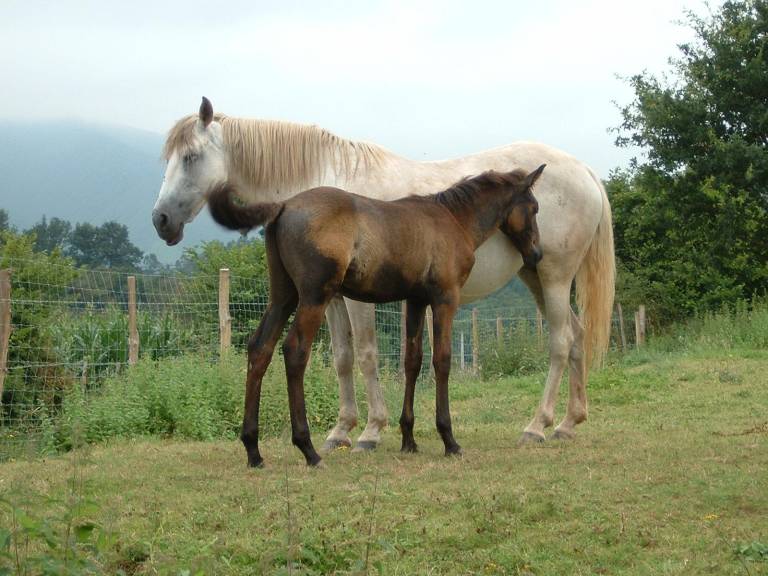 foto47