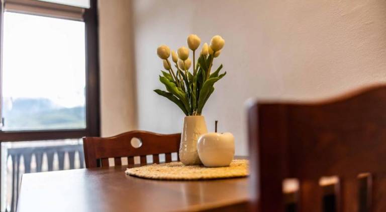 Rental apartment with terrace | Close to the ski | Pet-friendly — photo 5