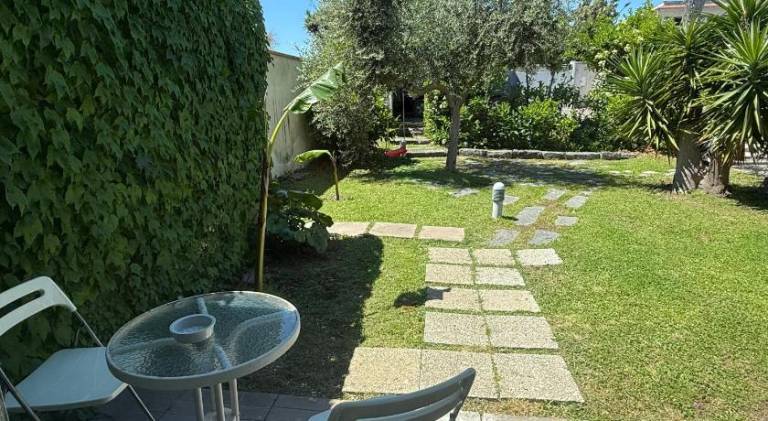 foto31