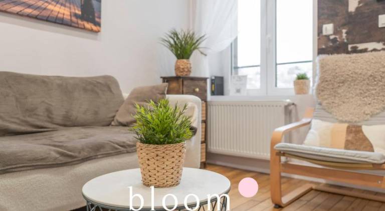 Rental apartment | Dogs allowed in Laxou