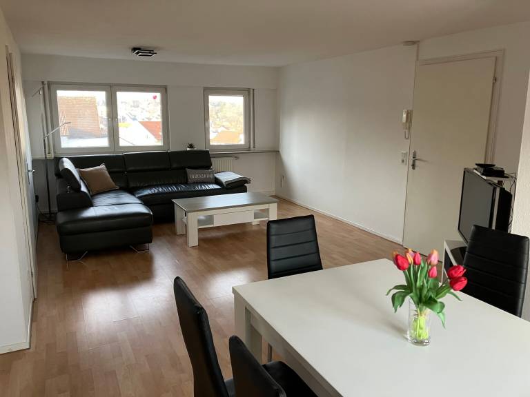 Ferienwohnung Freiberg am Neckar