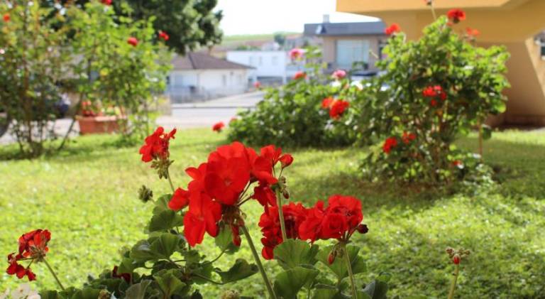 foto9