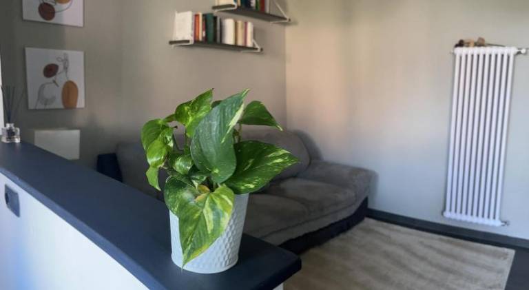 Holiday apartment with 2 rooms for 5 persons — photo 4