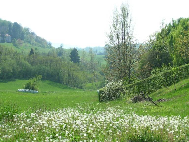 foto48