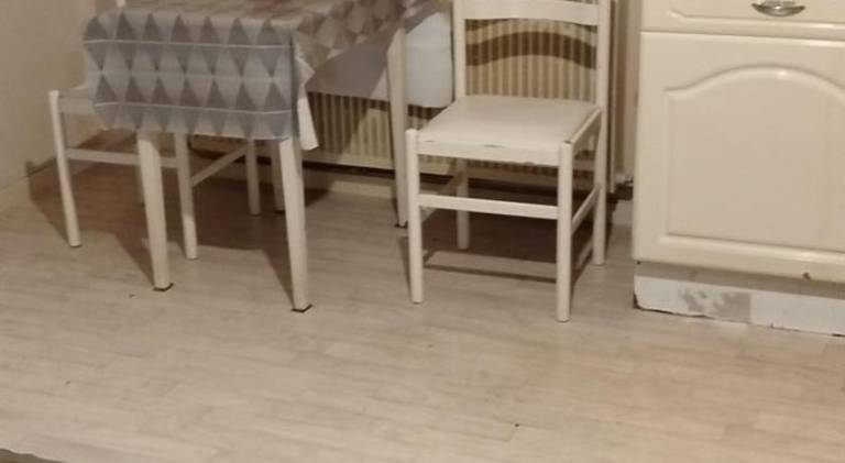 Nice holiday apartment | Pets are welcome — photo 4