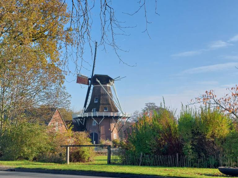 foto20