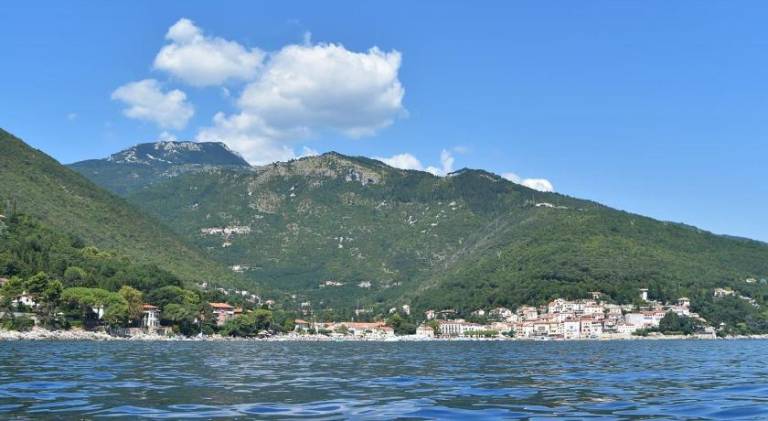 Holiday apartment | Pets are welcome in Moscenicka Draga