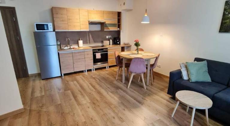 Charming holiday apartment with jacuzzi & pool | Next to the ski | Pets allowed — photo 2