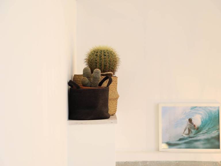 foto8