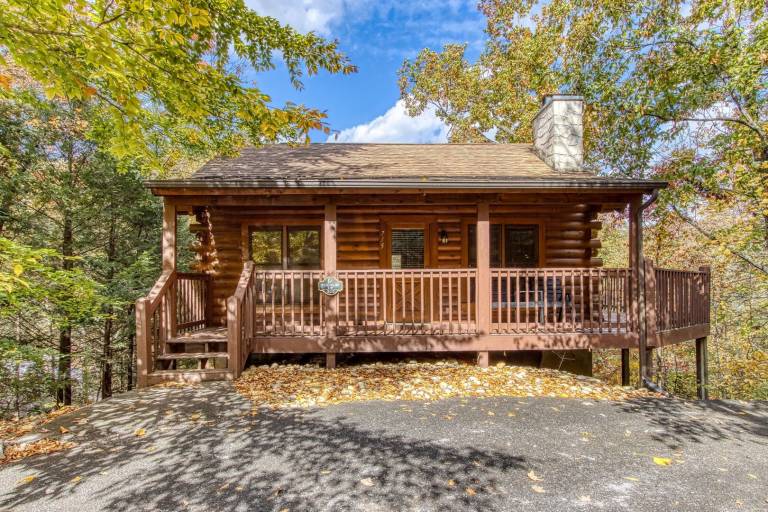 Cabin with private pool — photo 2