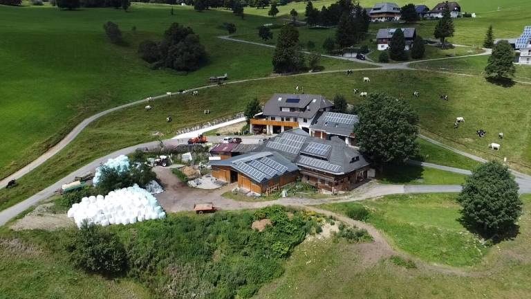Ferienwohnung Horben