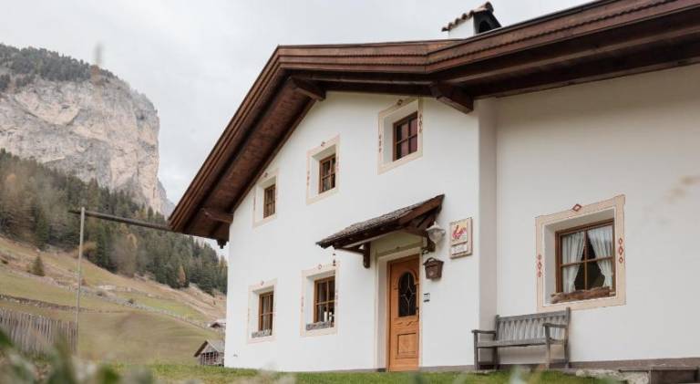 Big serviced apartment with patio, yard & grill | Ski nearby | Dogs allowed — photo 3