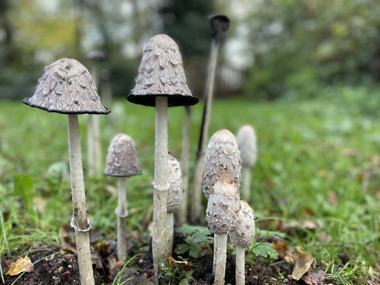 foto26