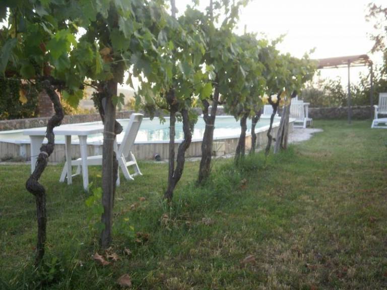 foto30