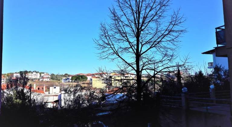 foto5