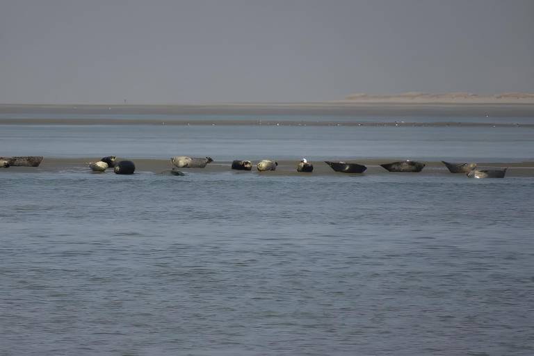 Maison de vacances Baie de Somme
