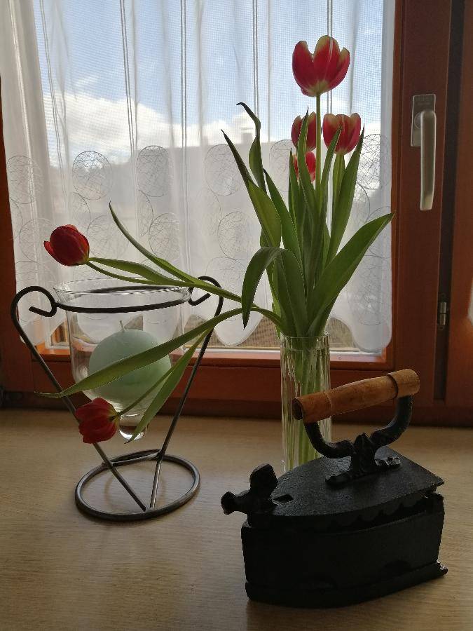 foto13