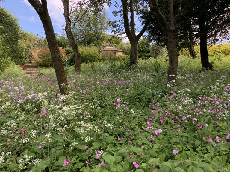 foto48