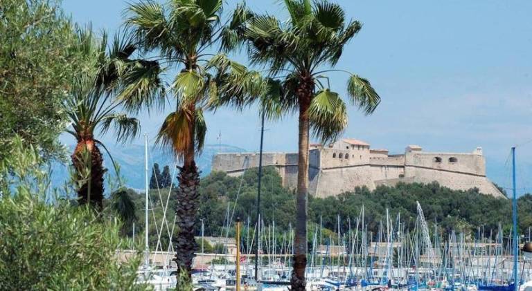 Nice holiday apartment | Pets allowed — photo 4