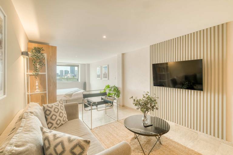Apartment with fast internet & garden in Mexico City